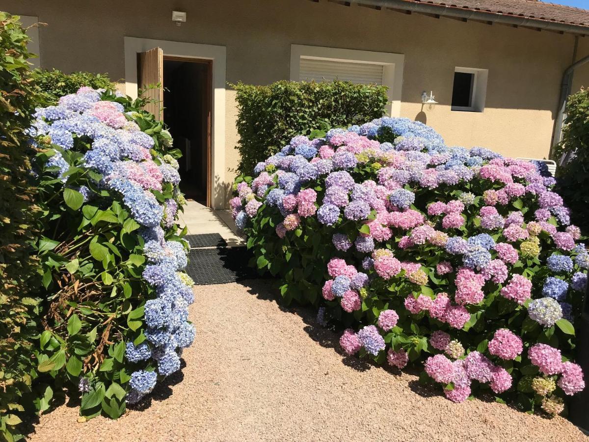 Auberge Les Hauts De Chenas Bagian luar foto