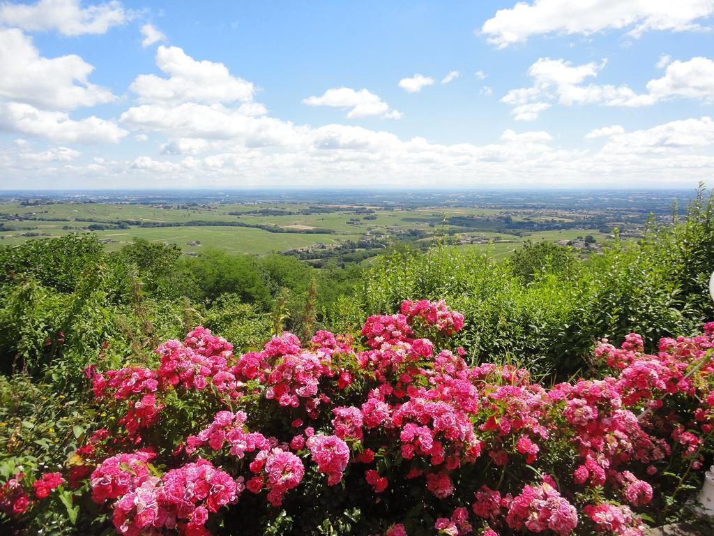 Auberge Les Hauts De Chenas Bagian luar foto