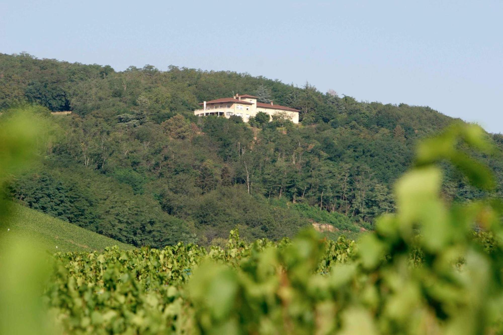 Auberge Les Hauts De Chenas Bagian luar foto